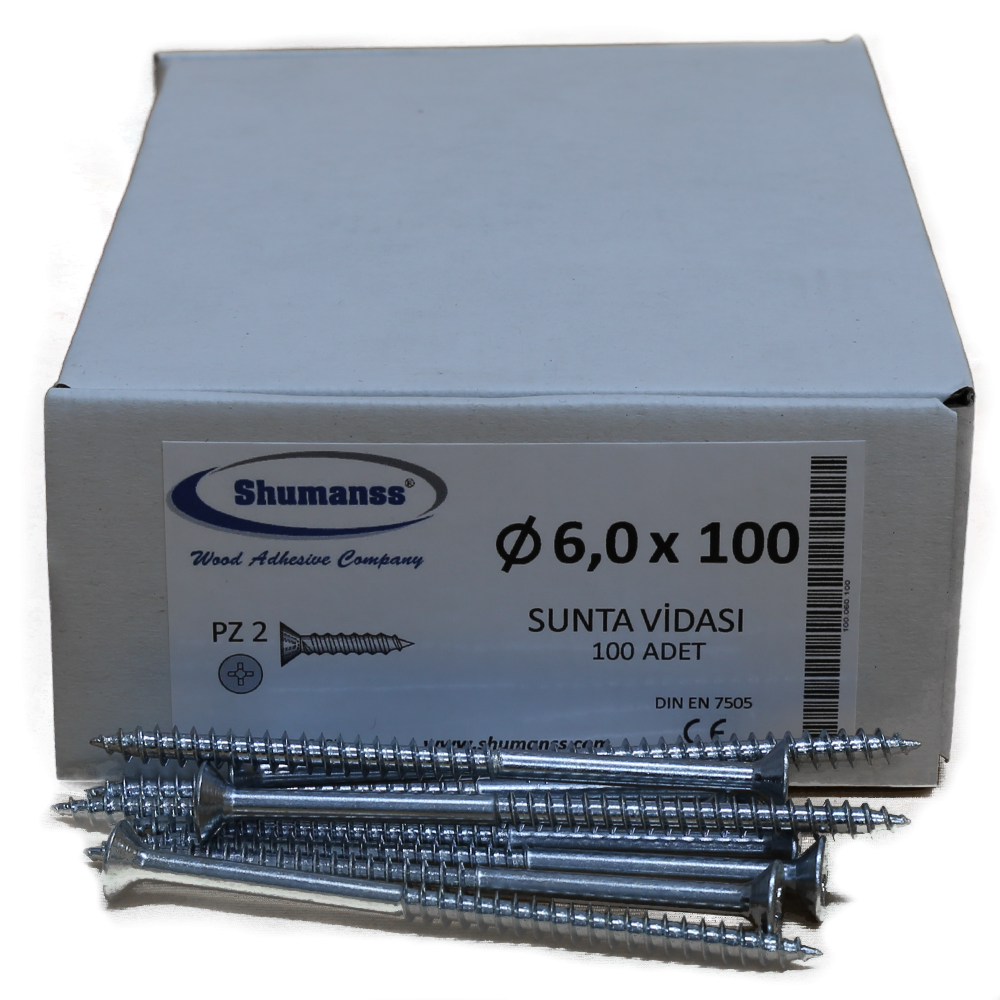 6,0*100 SUNTA VİDASI